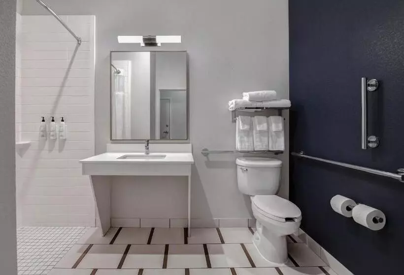 キングサイズベッドのスタンダードルーム, Fairfield Inn & Suites By Marriott Greenwood