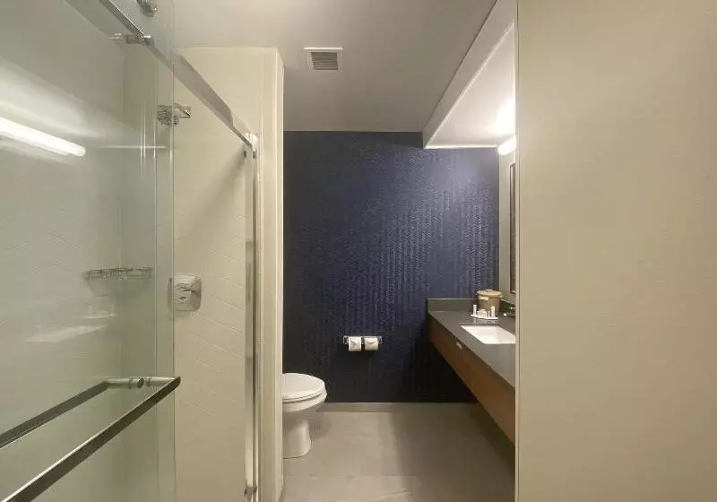 キングサイズベッドのスタンダードルーム, Fairfield Inn & Suites By Marriott Saratoga Malta