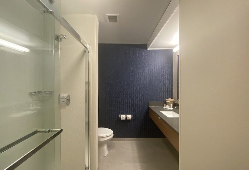 Номер Стандарт 2 Двуспальные Кровати, Fairfield Inn & Suites By Marriott Saratoga Malta