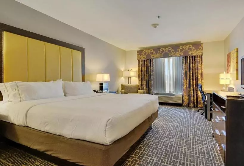 身障者適用スイートルーム, Holiday Inn Express & Suites Gonzales By Ihg