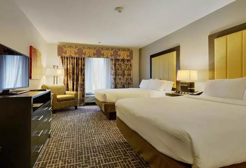 スタンダードルーム, Holiday Inn Express & Suites Gonzales By Ihg