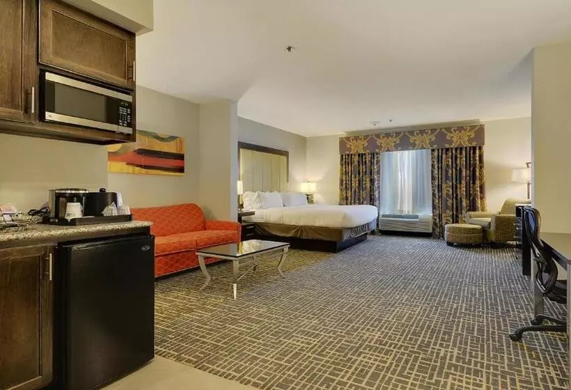 キングサイズベッドのスイートルーム, Holiday Inn Express & Suites Gonzales By Ihg