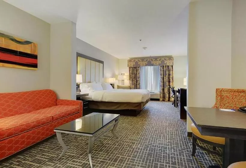キングサイズベッドのスイートルーム, Holiday Inn Express & Suites Gonzales By Ihg