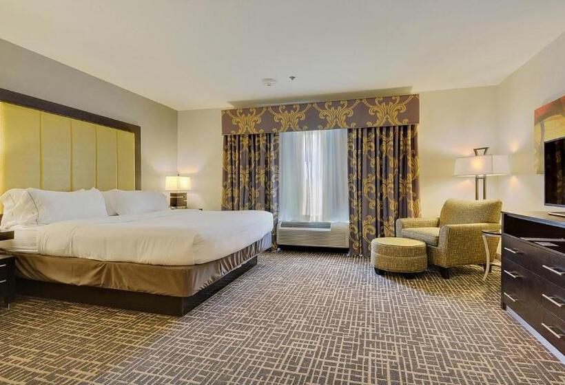 جناح سرير كينج, Holiday Inn Express & Suites Gonzales By Ihg