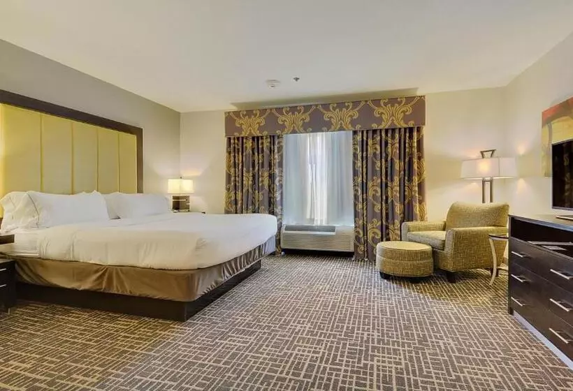キングサイズベッドのスイートルーム, Holiday Inn Express & Suites Gonzales By Ihg