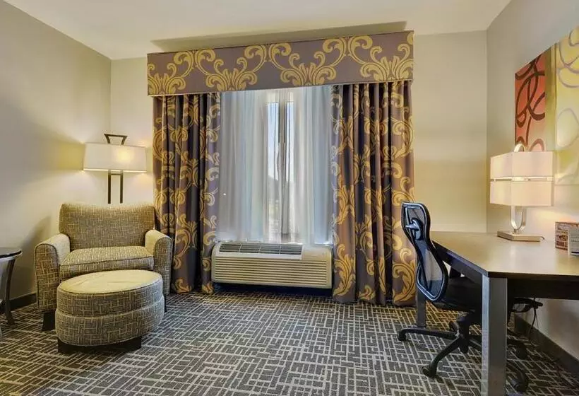 キングサイズベッドのスタンダードルーム, Holiday Inn Express & Suites Gonzales By Ihg
