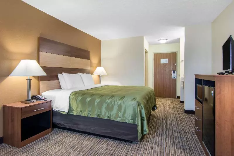 キングサイズベッドのスタンダードルーム, Quality Inn Loganville Us Highway 78