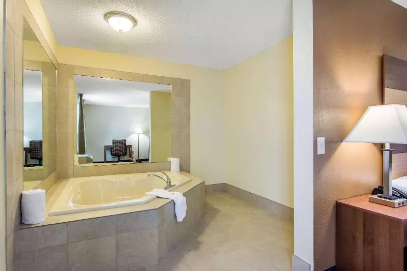 キングサイズベッドのスタンダードルーム, Quality Inn Loganville Us Highway 78