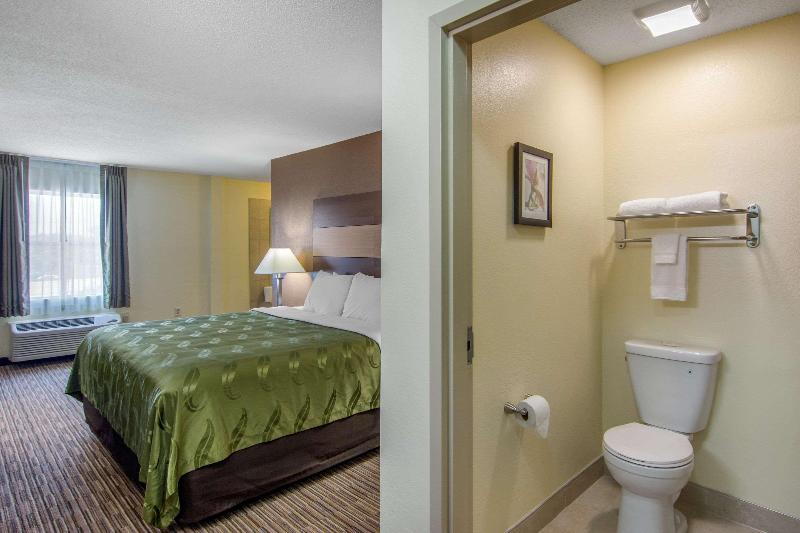 غرفة قياسية سرير كينج, Quality Inn Loganville Us Highway 78