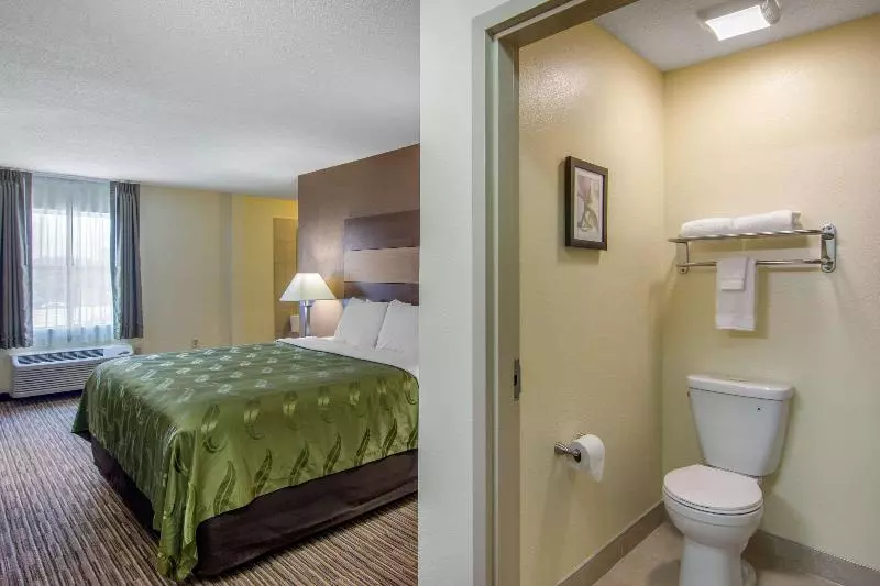 キングサイズベッドのスタンダードルーム, Quality Inn Loganville Us Highway 78