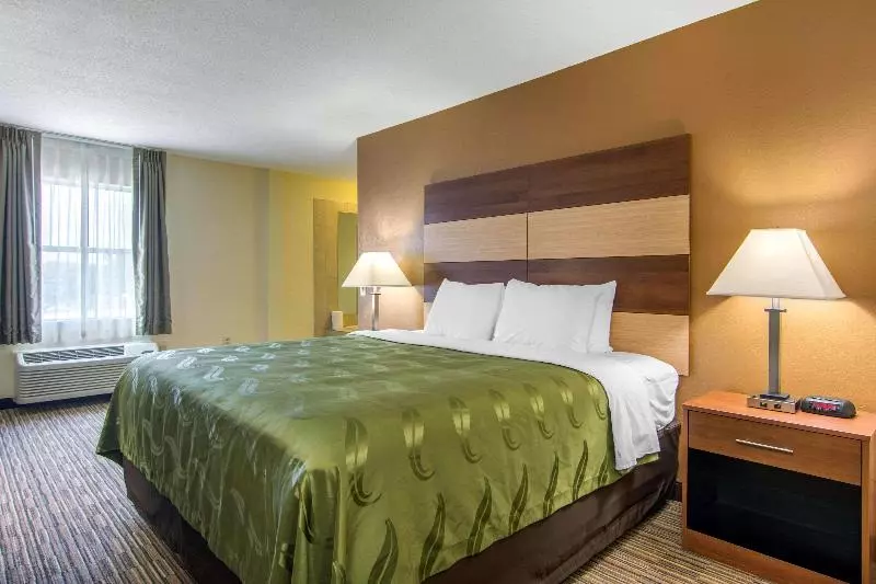 キングサイズベッドのスタンダードルーム, Quality Inn Loganville Us Highway 78