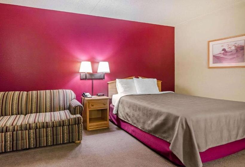 غرفة قياسية سرير مزدوج, Rodeway Inn