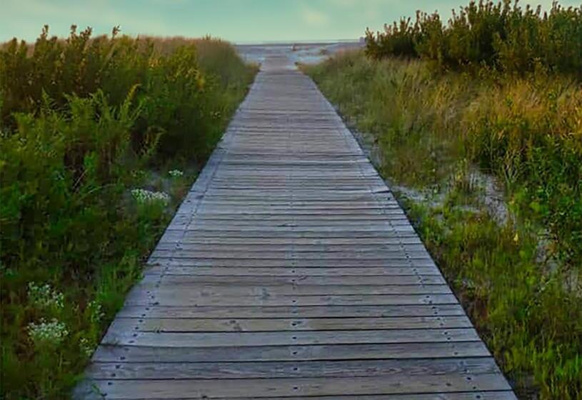 标准工作室, Acacia Beachfront Resort