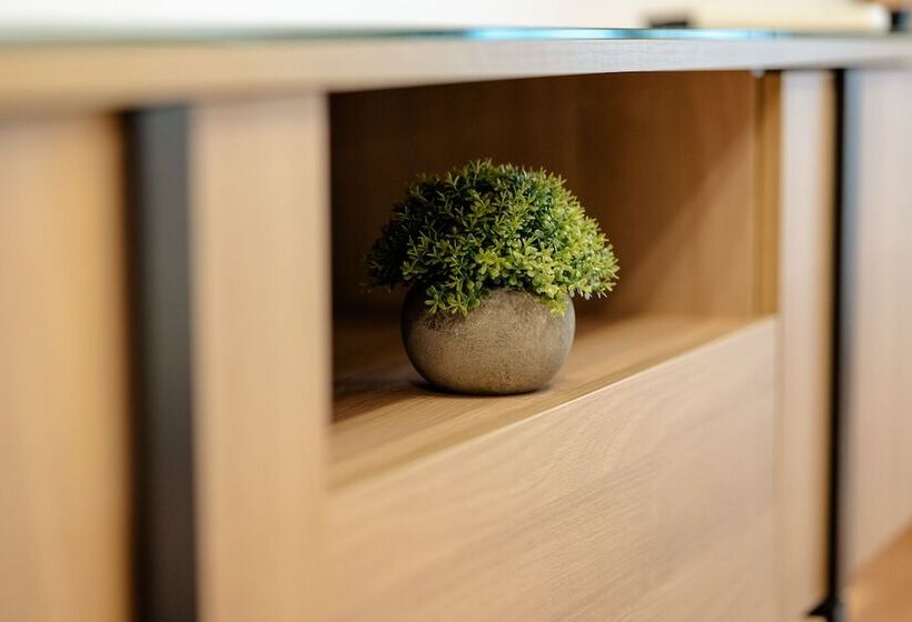 Standard-studio, Apartamentos Debambú