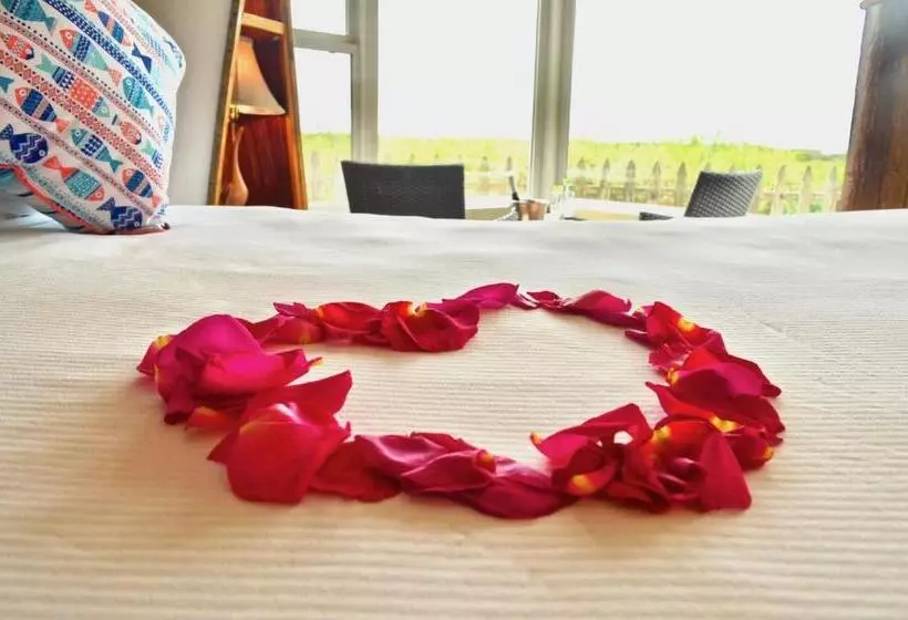 Deluxe room with river view, Captain's Inn At Moss Landing