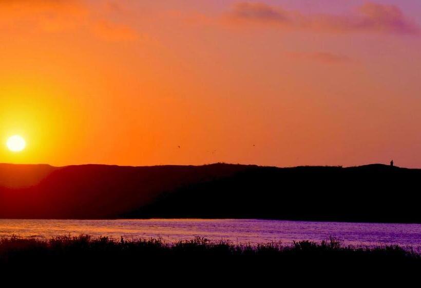 חדר סופריור עם מיטת קינג, Captain's Inn At Moss Landing