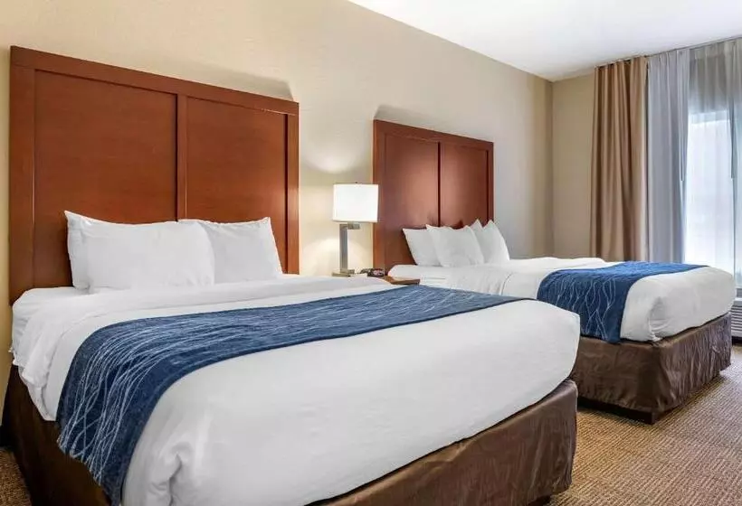 スタンダードルーム, Comfort Inn & Suites Northern Kentucky