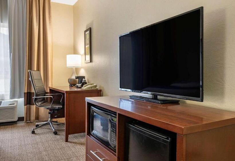 스탠다드 룸, Comfort Inn & Suites Northern Kentucky