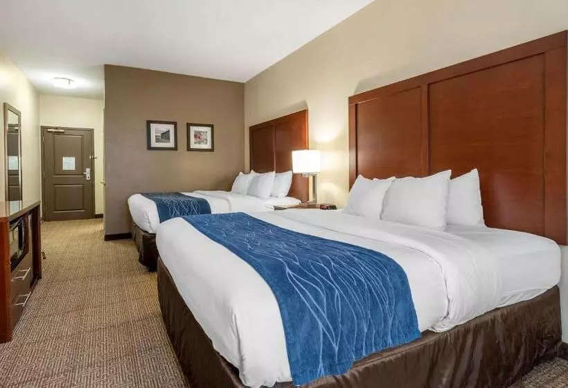 スタンダードルーム, Comfort Inn & Suites Northern Kentucky