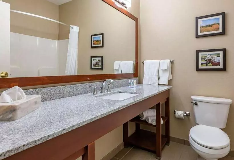 スタンダードルーム, Comfort Inn & Suites Northern Kentucky