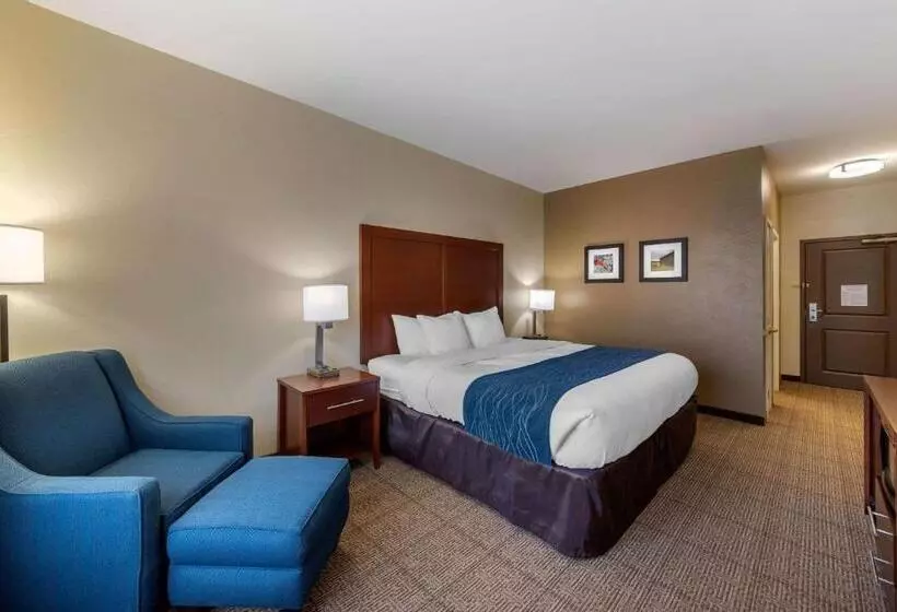 キングサイズベッドのスタンダードルーム, Comfort Inn & Suites Northern Kentucky