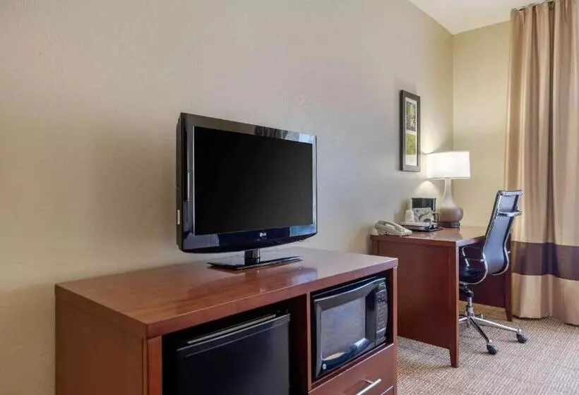 キングサイズベッドのスタンダードルーム, Comfort Inn & Suites Northern Kentucky