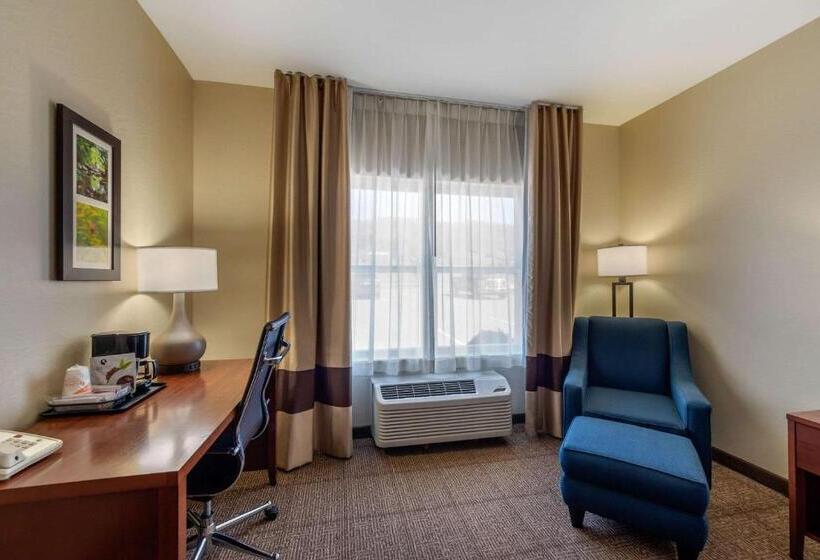 스탠다드 룸 킹사이즈 침대, Comfort Inn & Suites Northern Kentucky