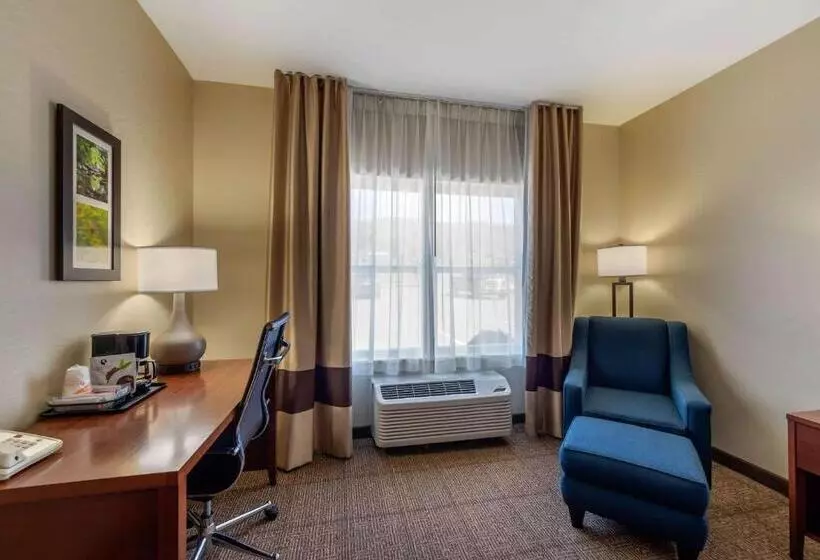 キングサイズベッドのスタンダードルーム, Comfort Inn & Suites Northern Kentucky
