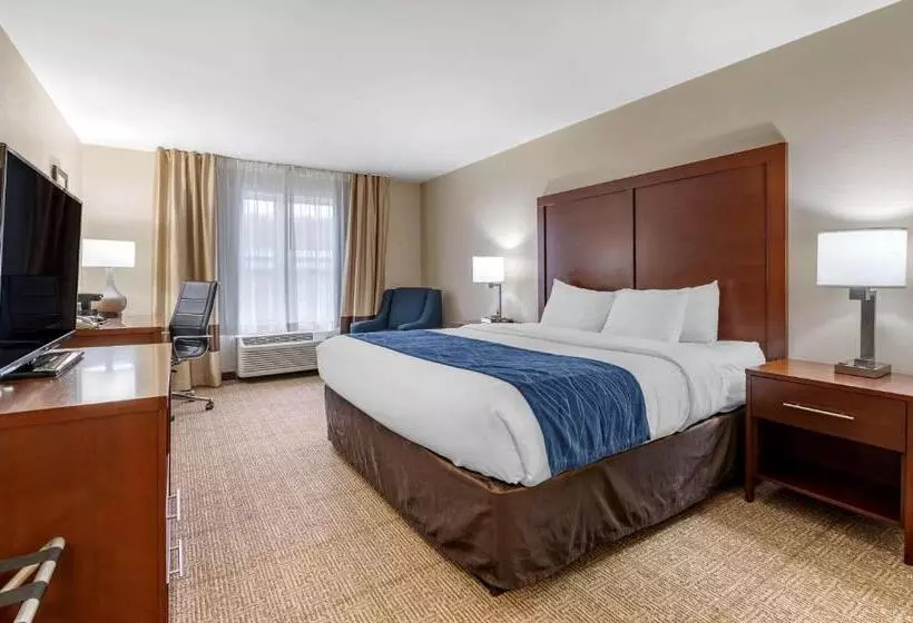 キングサイズベッドのスタンダードルーム, Comfort Inn & Suites Northern Kentucky