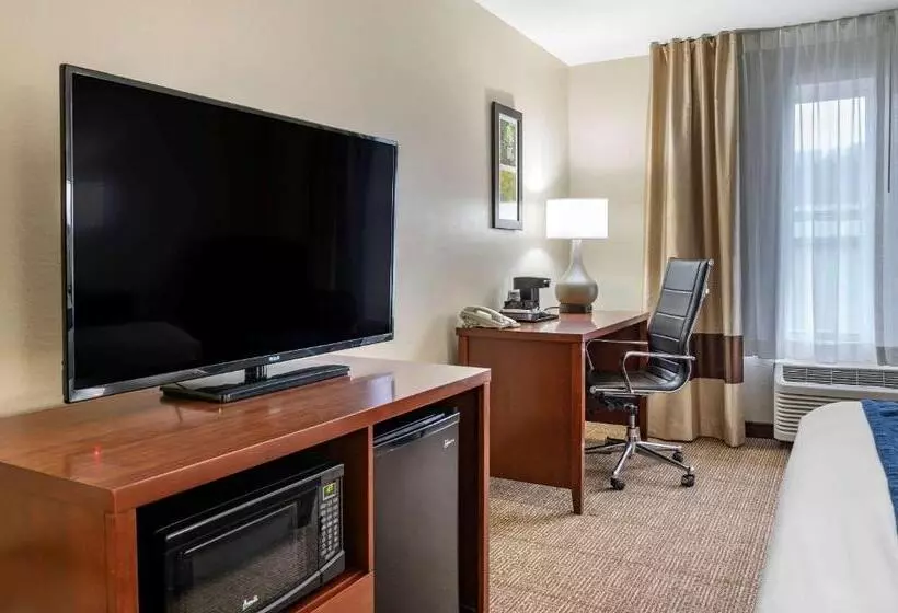 キングサイズベッドのスタンダードルーム, Comfort Inn & Suites Northern Kentucky