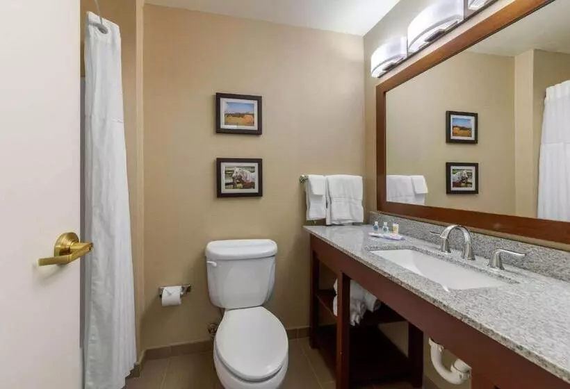 スイート, Comfort Inn & Suites Northern Kentucky