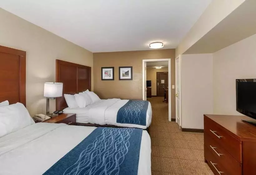 スイート, Comfort Inn & Suites Northern Kentucky