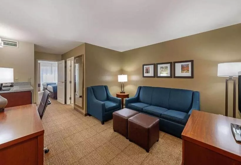 スイート, Comfort Inn & Suites Northern Kentucky
