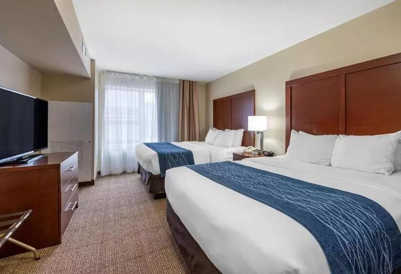 スイート, Comfort Inn & Suites Northern Kentucky