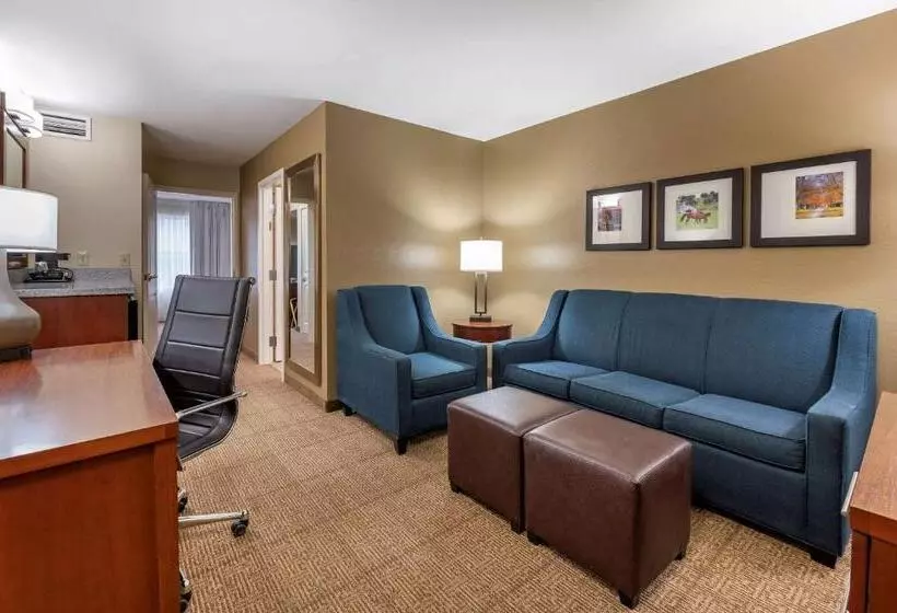 キングサイズベッドのスイートルーム, Comfort Inn & Suites Northern Kentucky