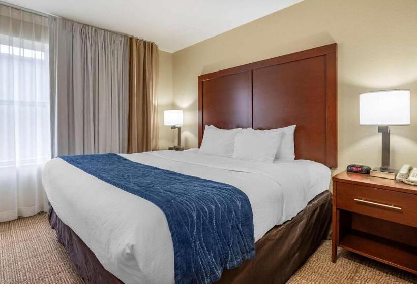 Люкс Кровать Кинг, Comfort Inn & Suites Northern Kentucky