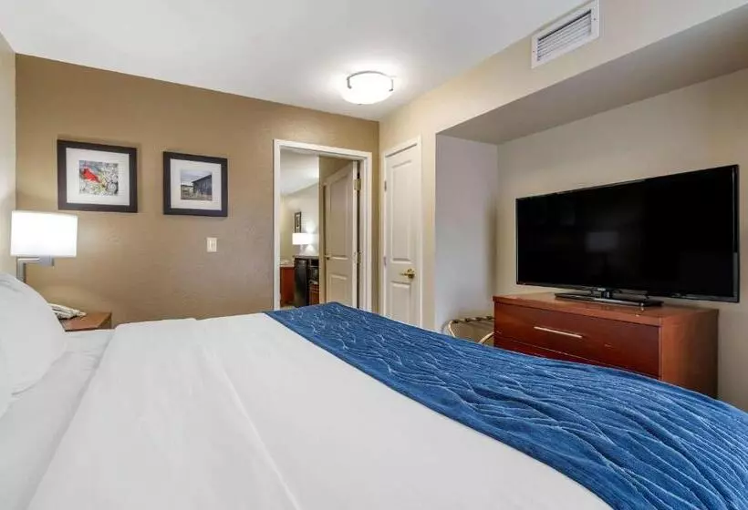 キングサイズベッドのスイートルーム, Comfort Inn & Suites Northern Kentucky