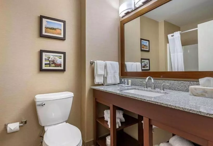 キングサイズベッドのスイートルーム, Comfort Inn & Suites Northern Kentucky