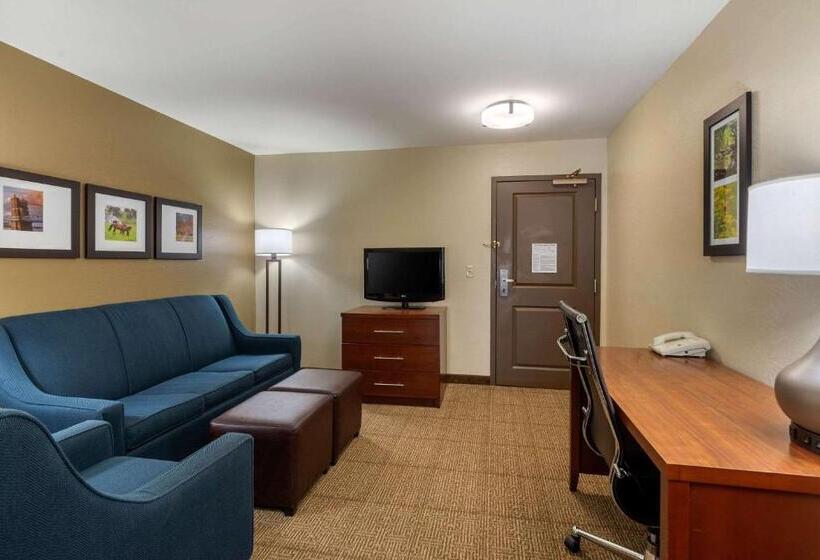 스위트 킹사이즈 침대, Comfort Inn & Suites Northern Kentucky