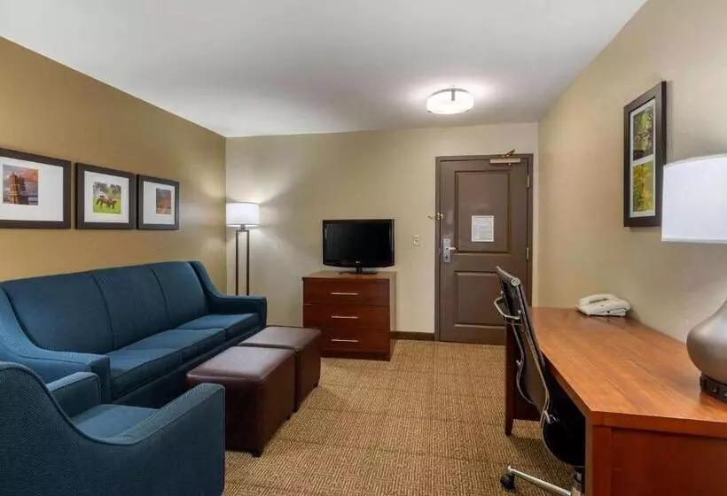 キングサイズベッドのスイートルーム, Comfort Inn & Suites Northern Kentucky