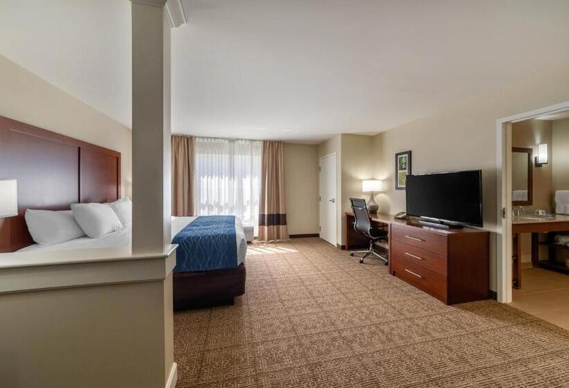 Люкс Кровать Кинг, Comfort Inn & Suites Northern Kentucky