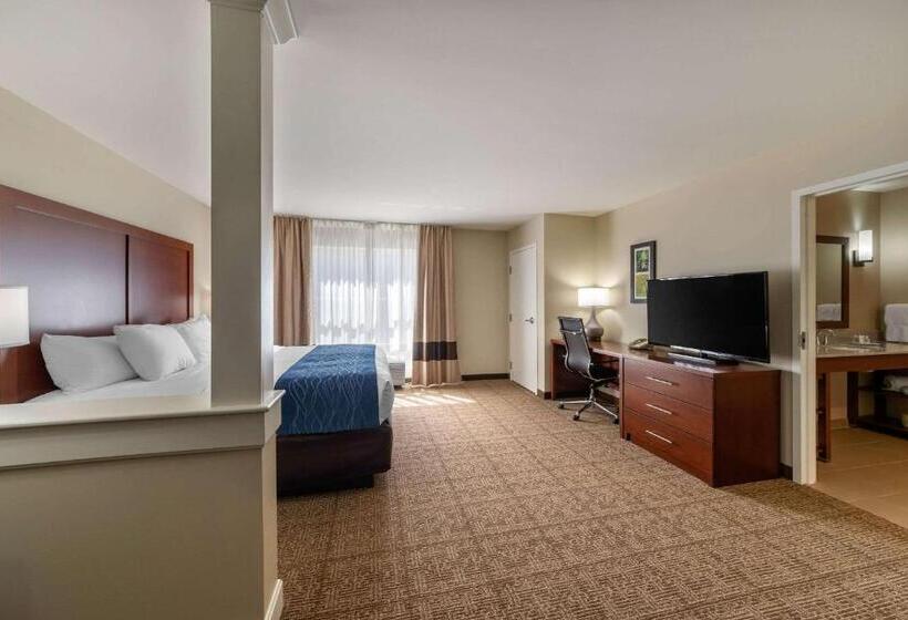 스위트 킹사이즈 침대, Comfort Inn & Suites Northern Kentucky