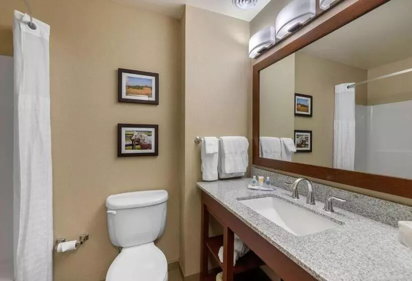 ハイドロマッサージバス付きスイート, Comfort Inn & Suites Northern Kentucky