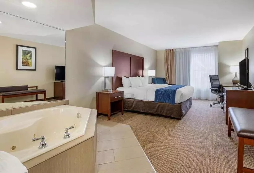 ハイドロマッサージバス付きスイート, Comfort Inn & Suites Northern Kentucky