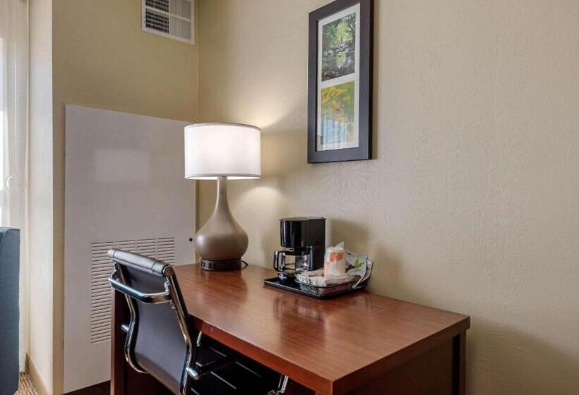 장애인을 위한 스탠다드 룸, Comfort Inn & Suites Northern Kentucky