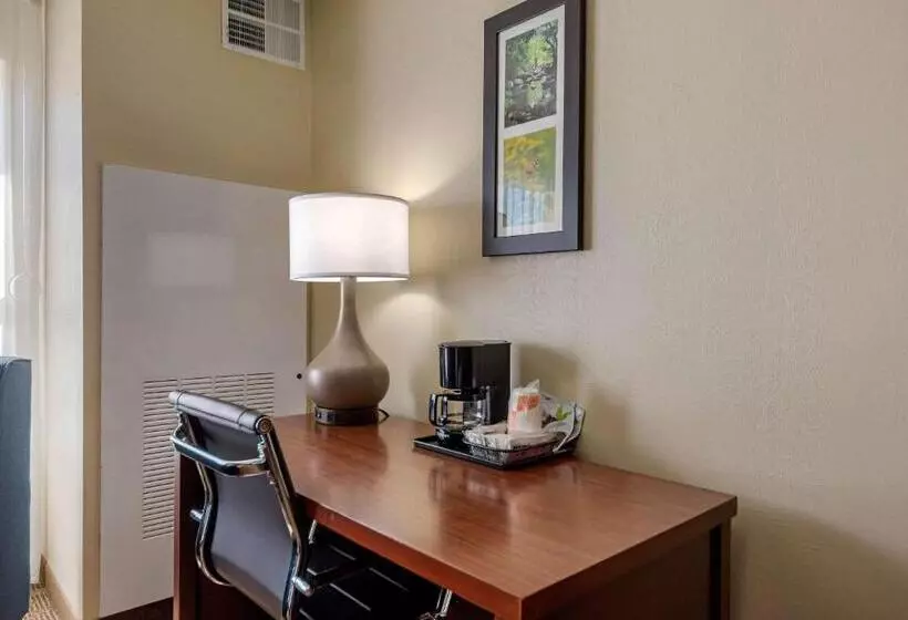 身障者適用スタンダードルーム, Comfort Inn & Suites Northern Kentucky