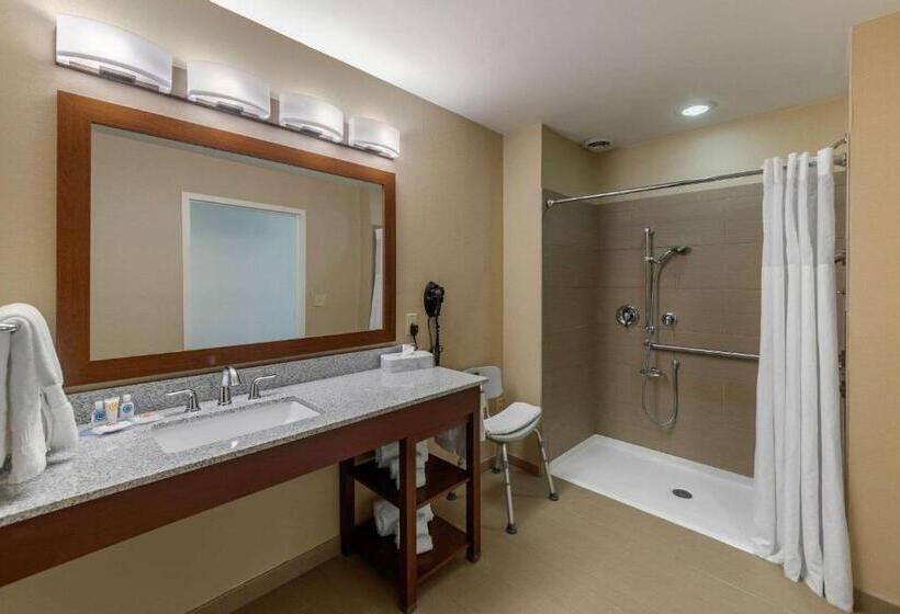 장애인을 위한 킹사이즈 침대 스탠다드 룸, Comfort Inn & Suites Northern Kentucky