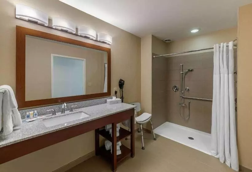身障者適用キングサイズベッドルーム, Comfort Inn & Suites Northern Kentucky