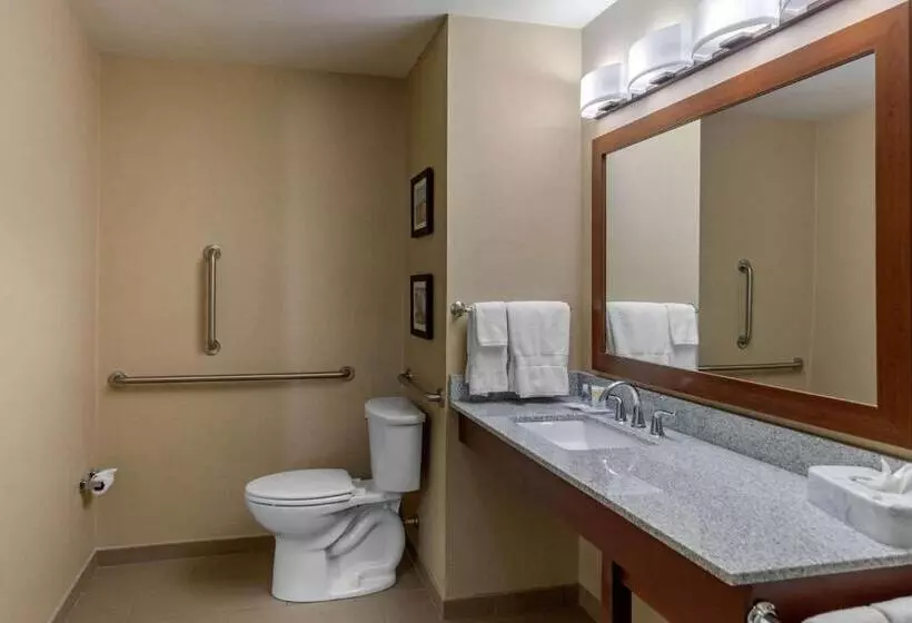身障者適用キングサイズベッドルーム, Comfort Inn & Suites Northern Kentucky