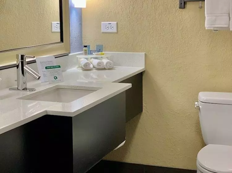 スタンダードルーム, Holiday Inn Express & Suites Kansas City Airport, An Ihg